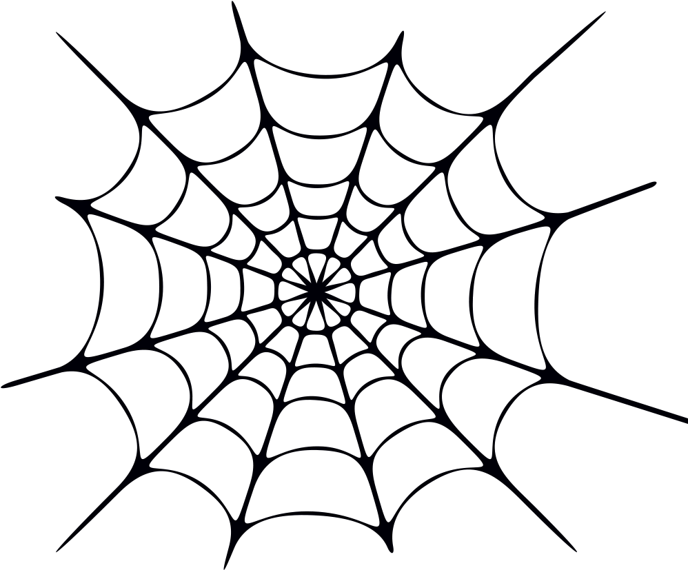 Spiders And Arachnids - Spider And Web Vinyl Sticker Wall Art, Black (1000x1000)