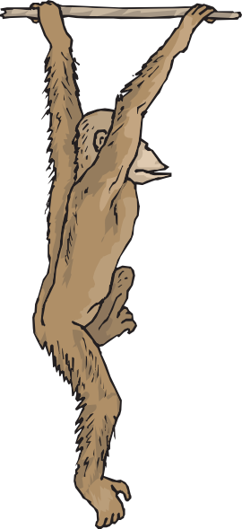 Hanging Chimp Clip Art - Chimp Png Hanging (270x589)