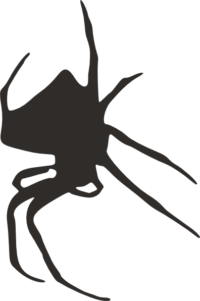 Black Spider Shower Curtain (499x750)