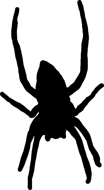Arachnid Silhouette, Spider, Web, Long, Legs, Arachnid - Silueta De Araña Png (351x640)