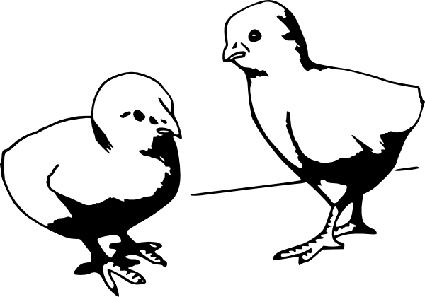 Baby Chicks Svg Downloads - Chicks Black And White (600x420)