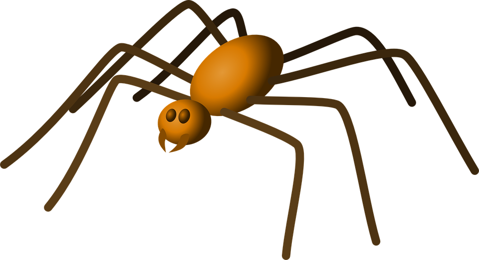Itsy Bitsy Spider Helping Micro-robots To Climb - Daddy Long Legs Clipart (1379x750)