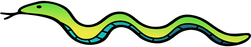 Outline Of A Snake (960x480)