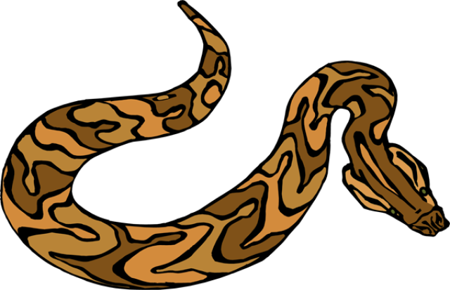 Anaconda Animal Snakes Png Transparent Images Clipart - Brown Snake Clipart Transparent (640x413)