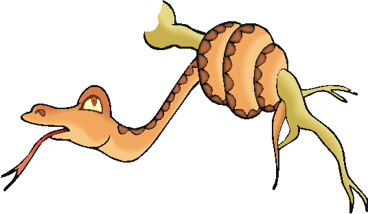 Brown Snake - Snakes (536x312)