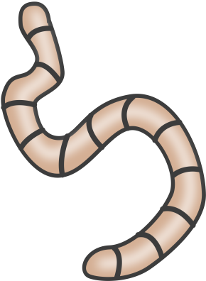 Worm Clipart - Worm Clipart (400x400)