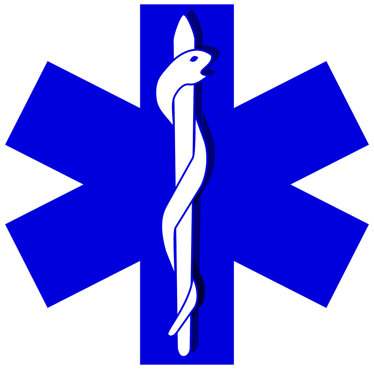Star Of Life (1280x1263)