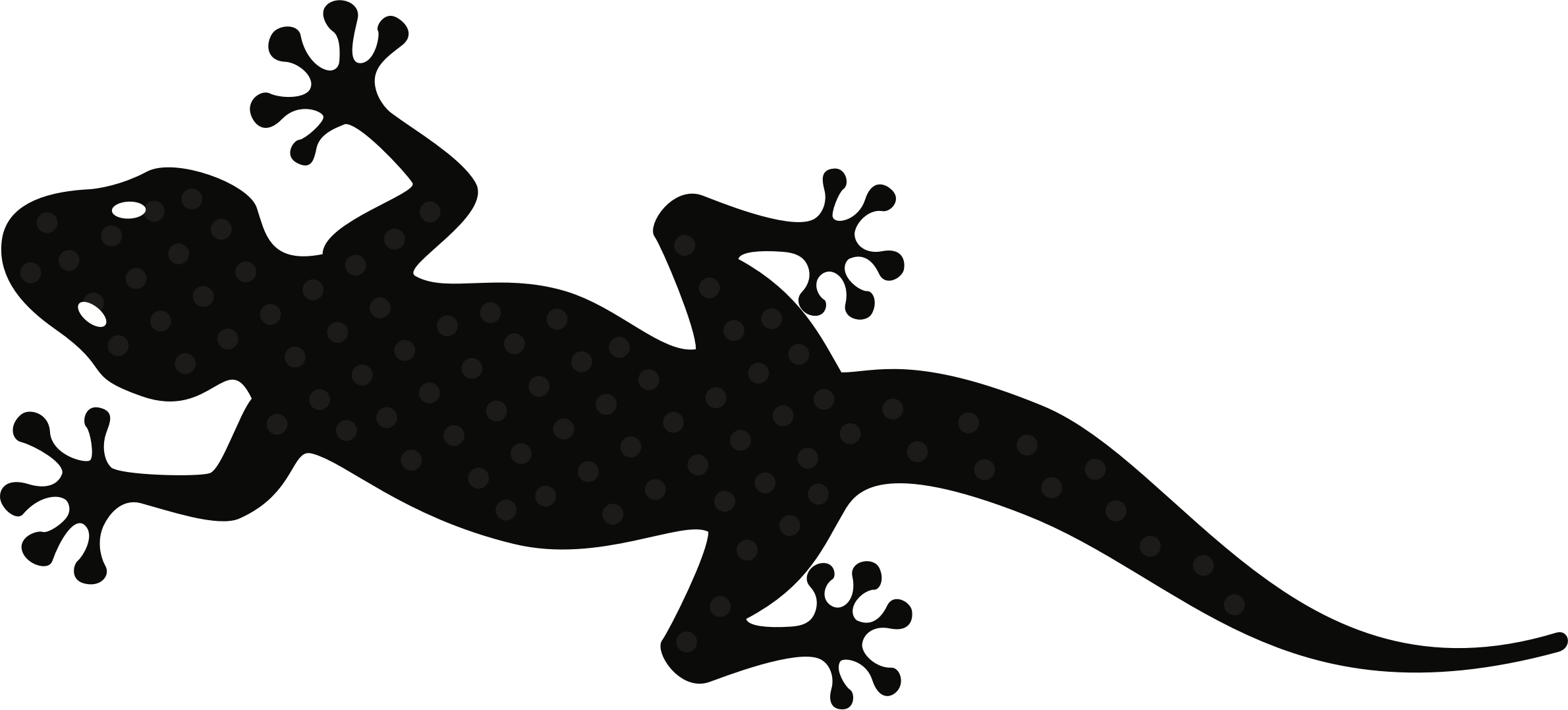 Gecko - Gecko Clip Art (2380x1077)