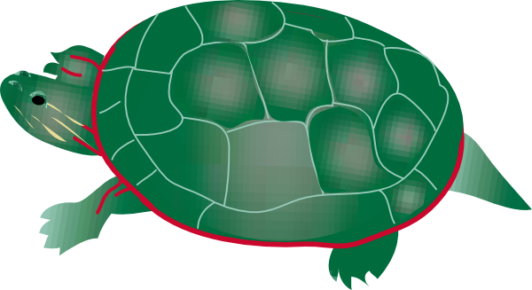 Painted Turtle Clip Art - Pond Turtle Clipart (600x327)