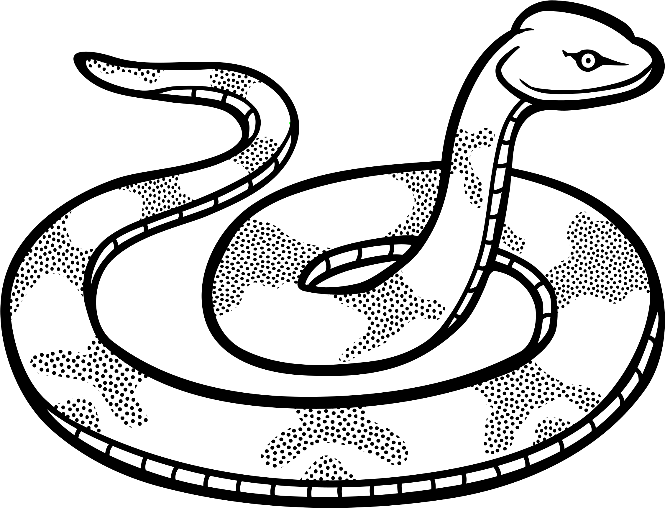 Snake - Lineart - Snake Line Art (2400x1867)
