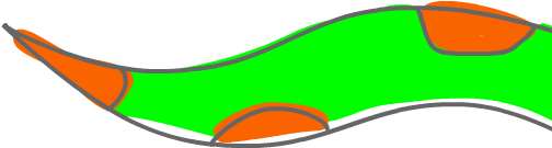 Waste Snake Head - Waste Snake Head (550x400)