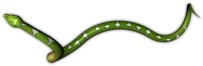 Snake Png Hd - Portable Network Graphics (758x370)
