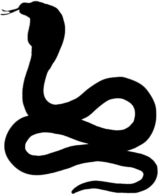 Snake Cliparts Silhouette - Snake Silhouette Png (654x792)