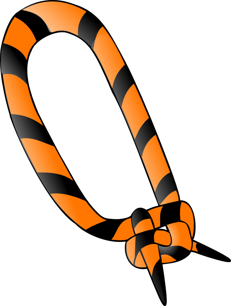 Scout Scarf Png (757x1000)
