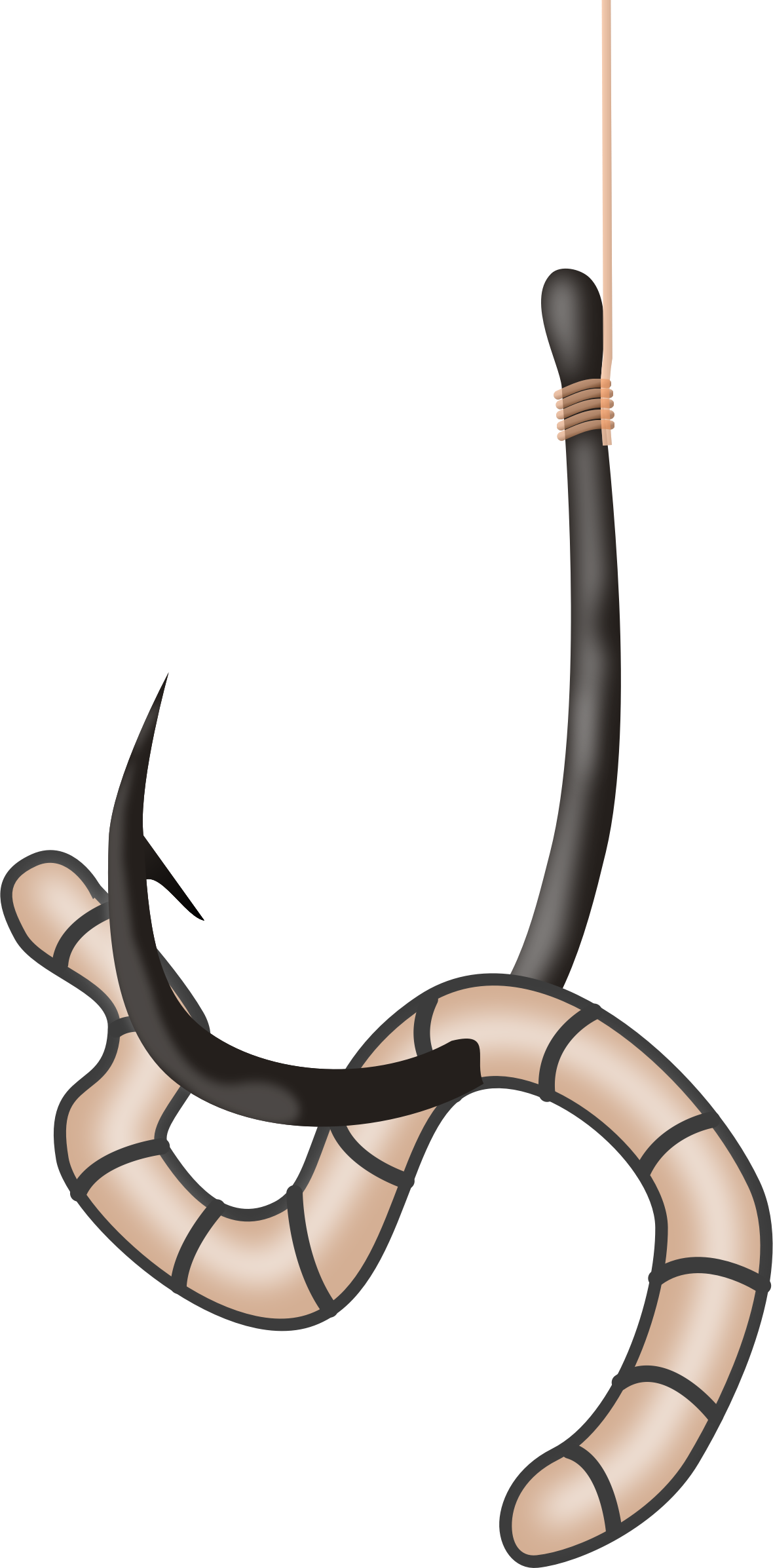 Bait - Worm On Hook Clipart (1180x2393)
