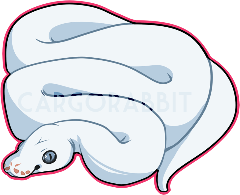 Ball Python Clipart Cartoon - Easy Draw Ball Pythons - (894x894) Png ...