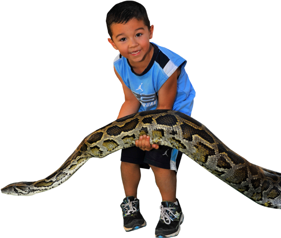Snake Clipart - Boy Holding A Snake (588x520)