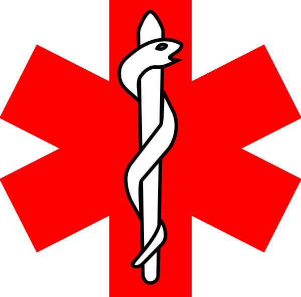 Red Cross With Snake Logo (600x592)