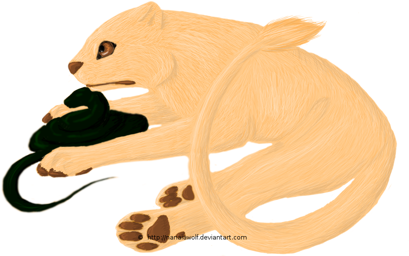 Lioness And Snake By Valhelos - Professor Severus Snape (882x640)