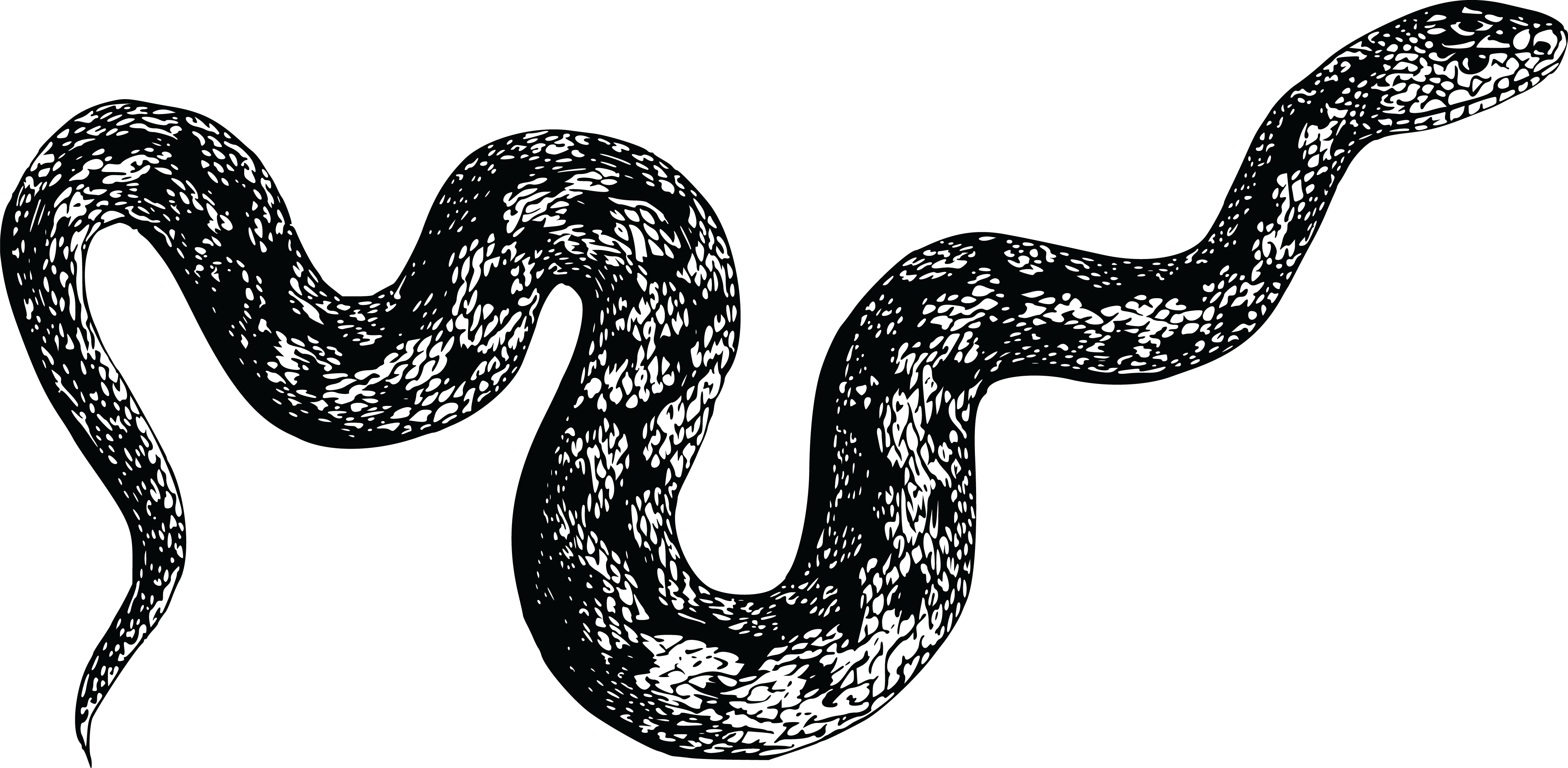 Free Clipart Of A Snake - Snake Stickers (4000x1960)