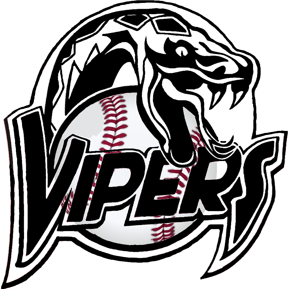 Viper Clipart Baseball - Vipers Clipart Black And White (998x998)