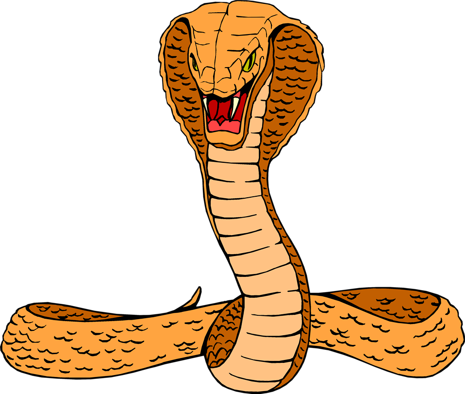Cobra Snake Drawings - Cobra Clipart (958x811)