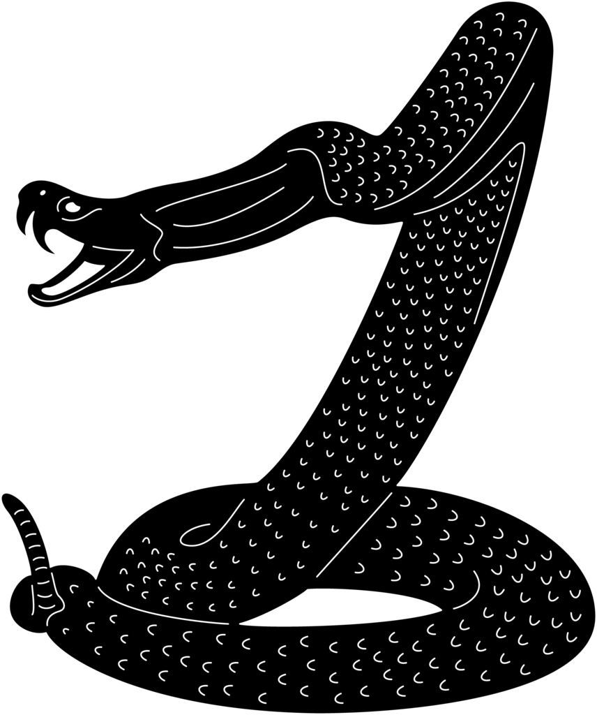 Snake Attack - Snakes (856x1024)
