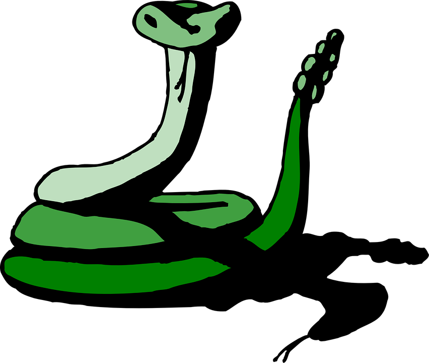 Snake Green Shadow Reptile Rattle Hissing Hiss - Green Animated Snake (852x720)