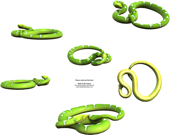 Madetobeunique 24 3 Green Snakes In The Grass By Madetobeunique - Snakes (600x480)