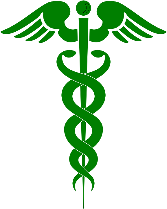Pharmacy Doctor Health Symbol Green Snake Worm - Medusa Symbol Greek Mythology (577x720)