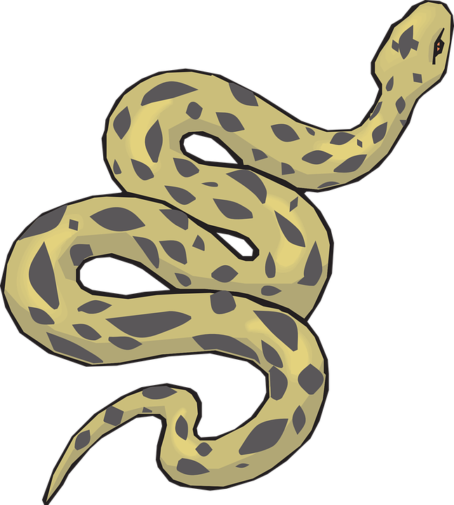 Snake Clipart (647x720)