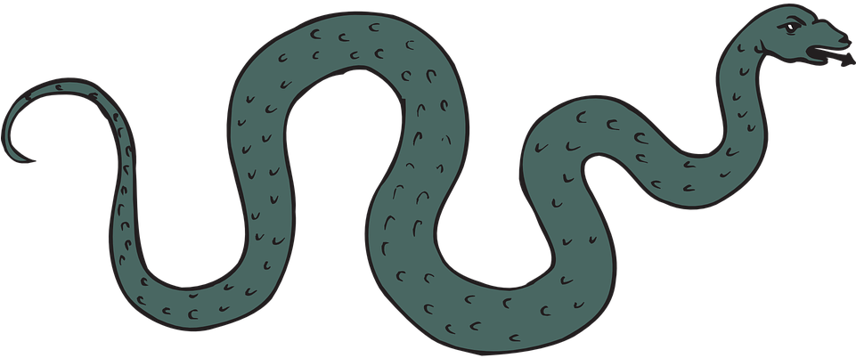 Snake Green Reptile Hissing Slithering Curled - Snake Slithering Clipart (960x480)