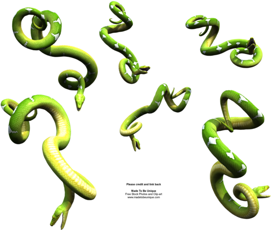 Bright Green Hanging Snakes By Madetobeunique - Python Snake (600x480)