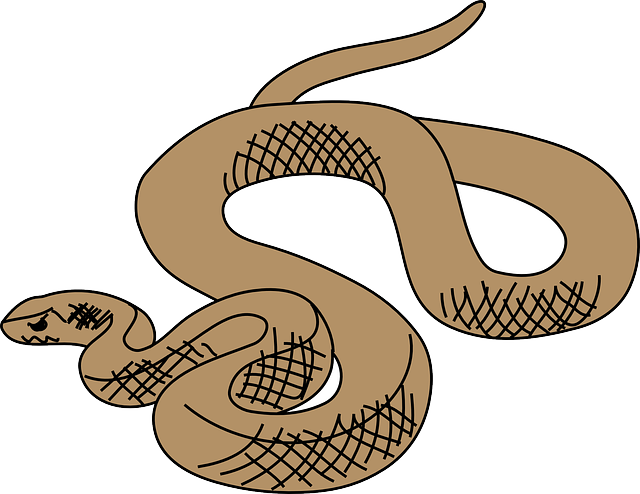 Slither Snake, Brown, Art, Reptile, Slithering, Curled, - Brown Tree Snake Clip Art (640x494)