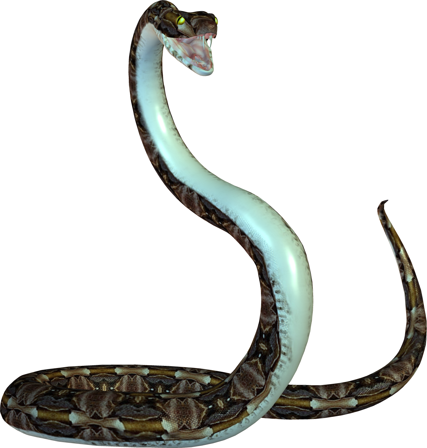 Picture Download Snake Image - Snake Png Transparent Background (1383x1451)