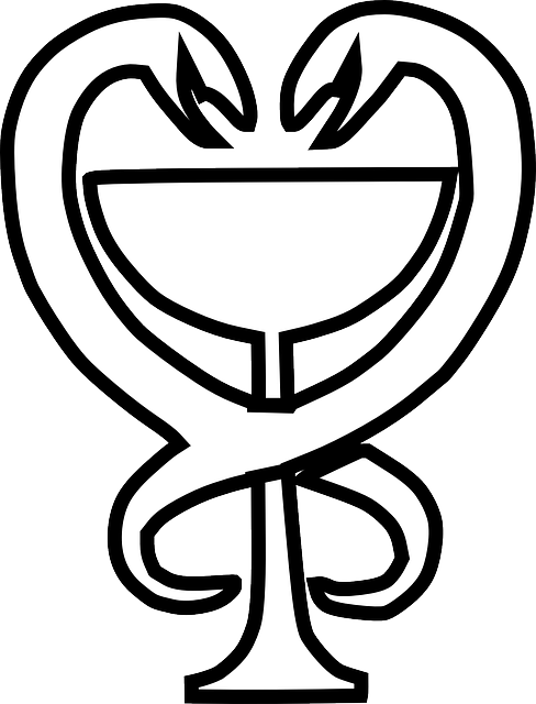 Outline, Cup, Medicine, Medical, Drug, Snakes - Medicine (488x640)