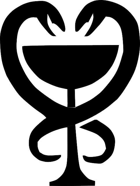 Cup, Silhouette, Medicine, Medical, Drug, Snakes - Snakes Silhouette (484x640)