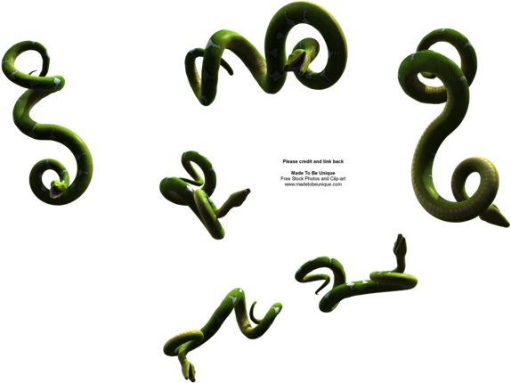 Madetobeunique 216 69 Hanging Python Snake Free Imag - Hanging Snake Png (600x480)