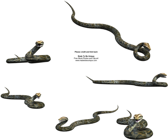 Realistic 3d Python Snake Stck By Madetobeunique - Snakes (600x480)