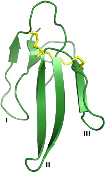 Erabutoxin, An Example Of A Snake Venom Three-finger - Three Finger Toxins Snake Venom (400x600)