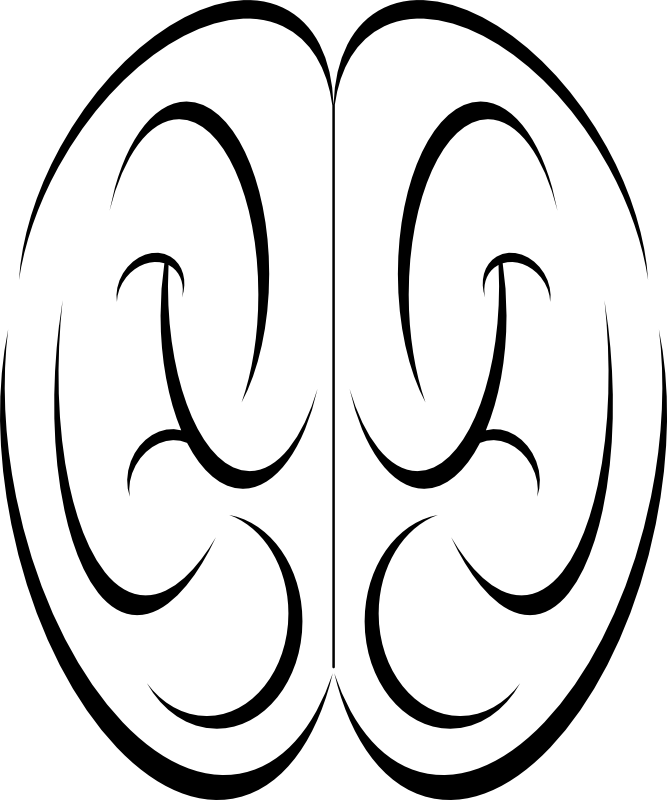 Brain Photos Free - Vector Graphics (667x800)