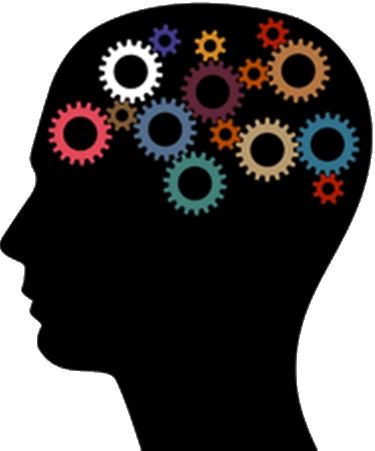 Brain Based Learning Lambert Linguistics - Brain Filter (375x451)