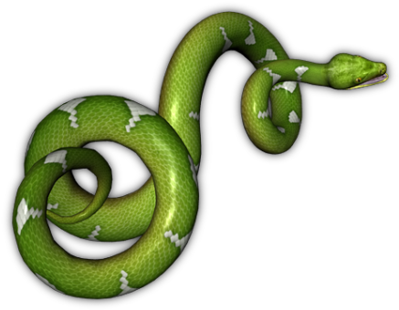 Snakes Png Image - Green Snake No Background (500x423)