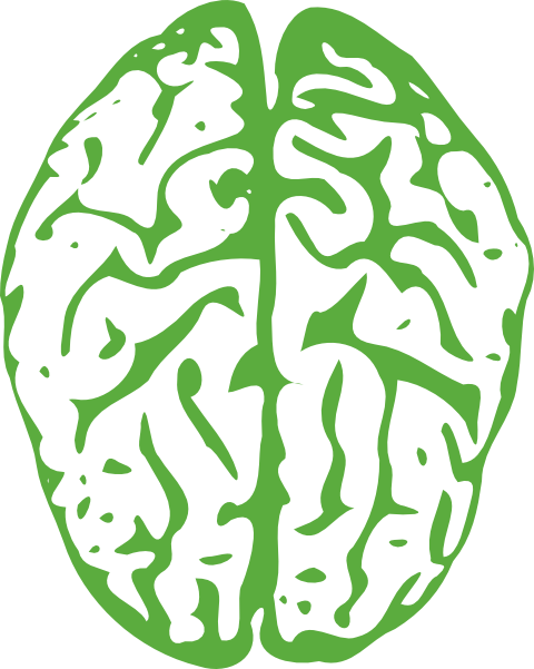 Brain Clip Art At Clker - Brain Clipart Without Background (480x601)