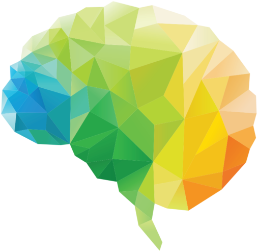 Balance Your Heart, Brain, And Gut 3 Brains Health - Brain Icon (512x512)