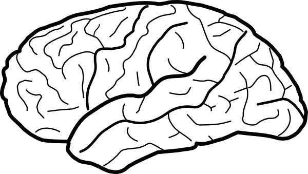 Pltw 2.1 3 Brain Diagram (600x339)