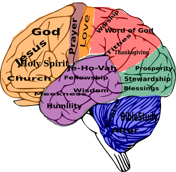 God In The Brain (600x585)