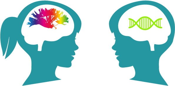 Fundamental Cognitive Neuroscience - Illustration (884x443)