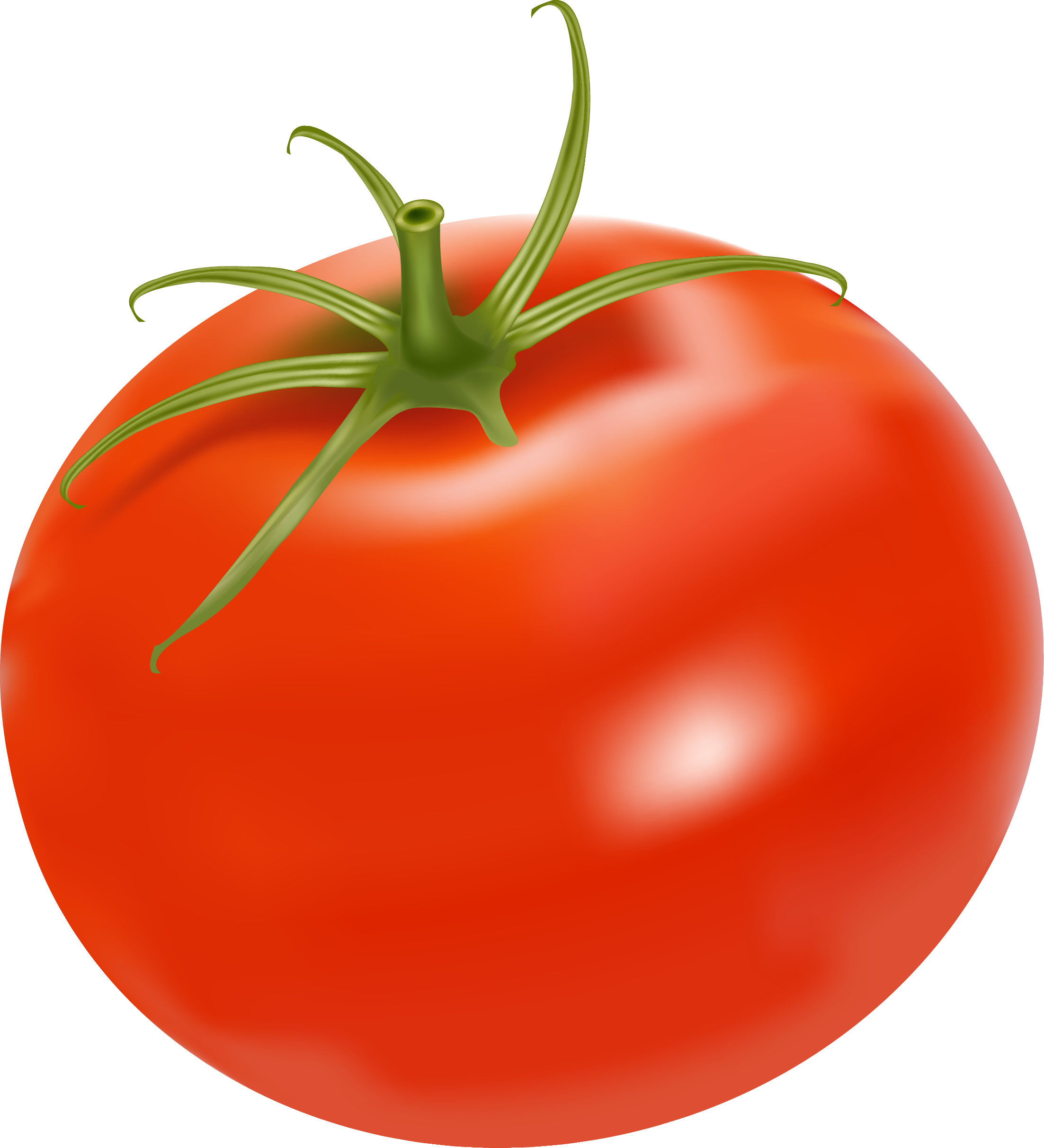 Plum Tomato Chicken Salad Bush Tomato Clip Art Tomato - Tomato (2205x2425)