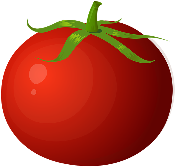 Tomatoes Clipart 6, Buy Clip Art - Clip Art Tomato (1560x1560)